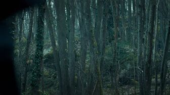 Elite Force S01E03 1080p HEVC x265-MeGusta