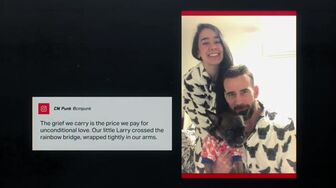 WWE Unreal S03E04 1080p WEB h264-GRACE